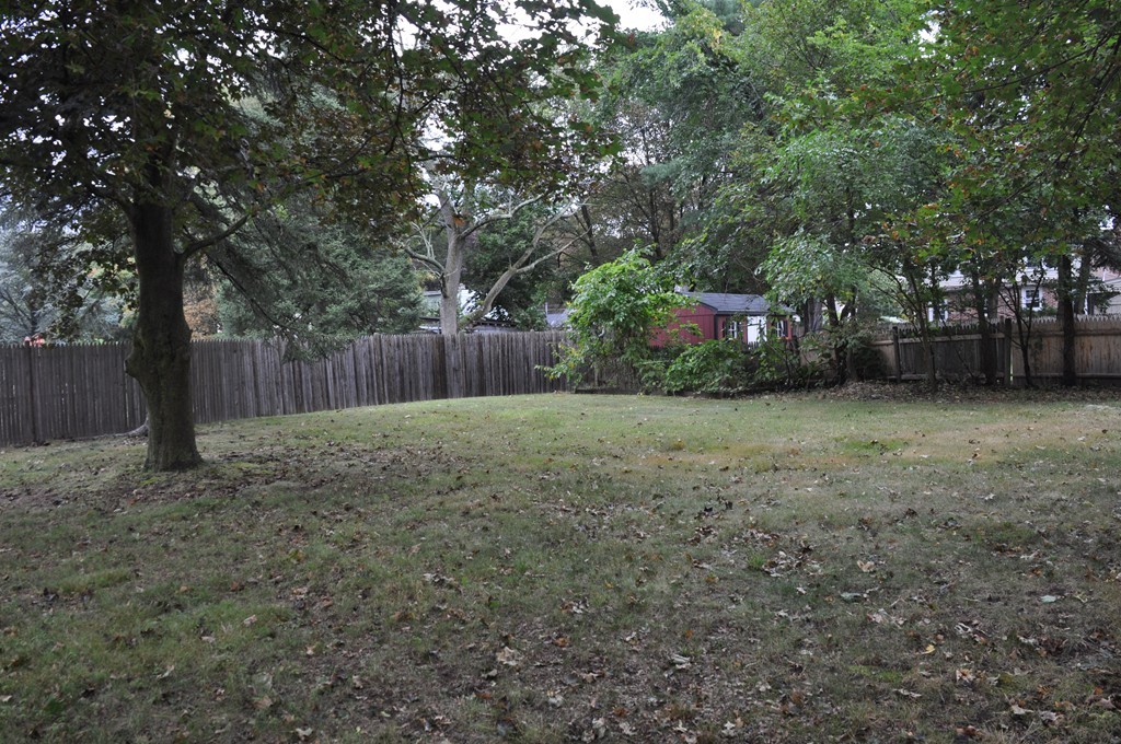 86 Spring Street, Unit B Stoneham, MA 02180 - Photo 17 of 17 a view of a yard with large trees and wooden fence