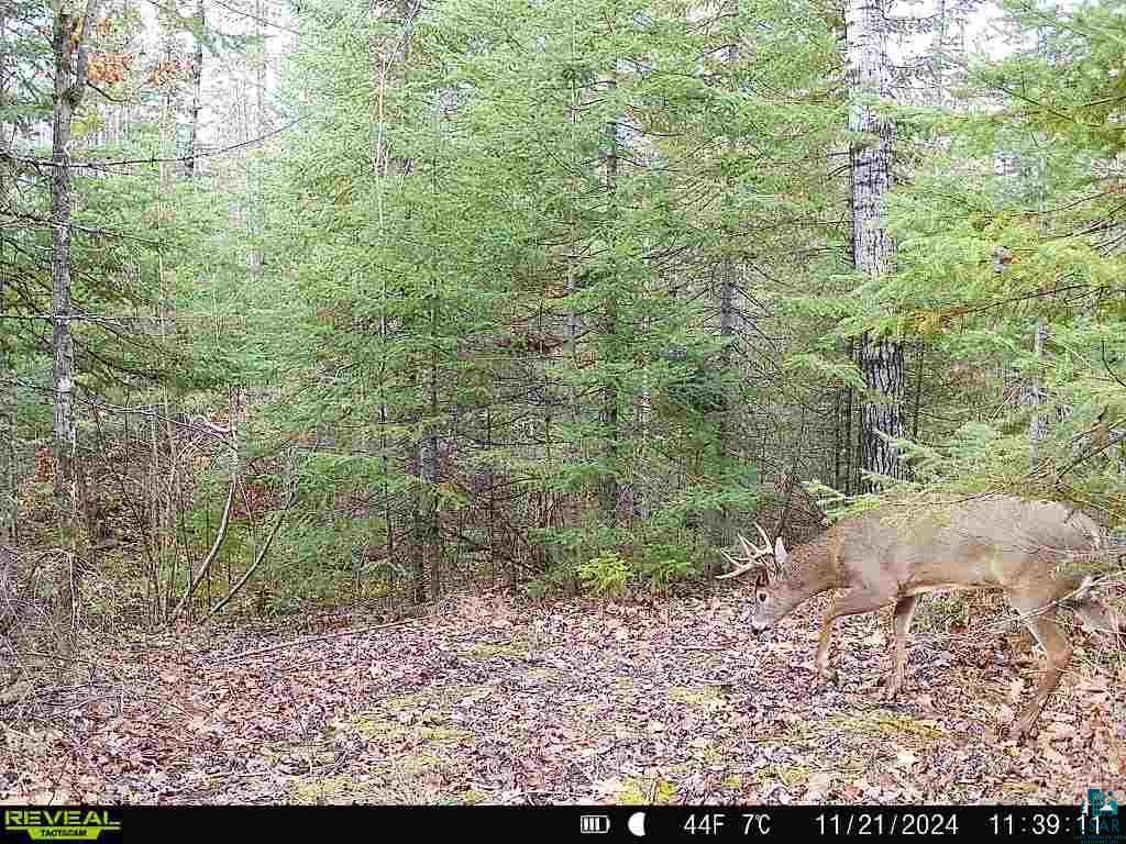 6692 County Rd C South Range, WI 54874 - Photo 32 of 33