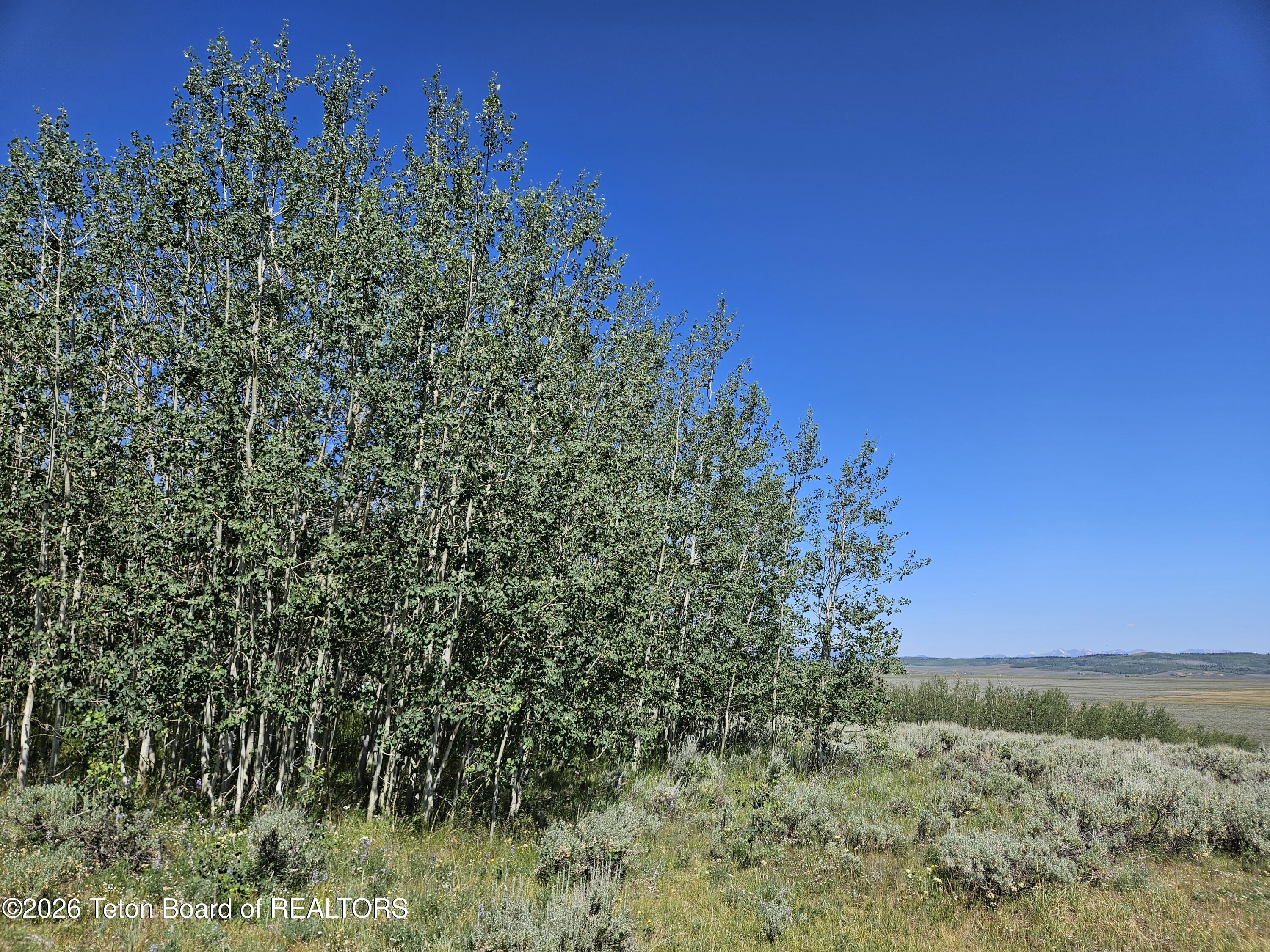 12 Aspen Ridge Road Daniel, WY 83115 - Photo 12 of 27 20260709_111024