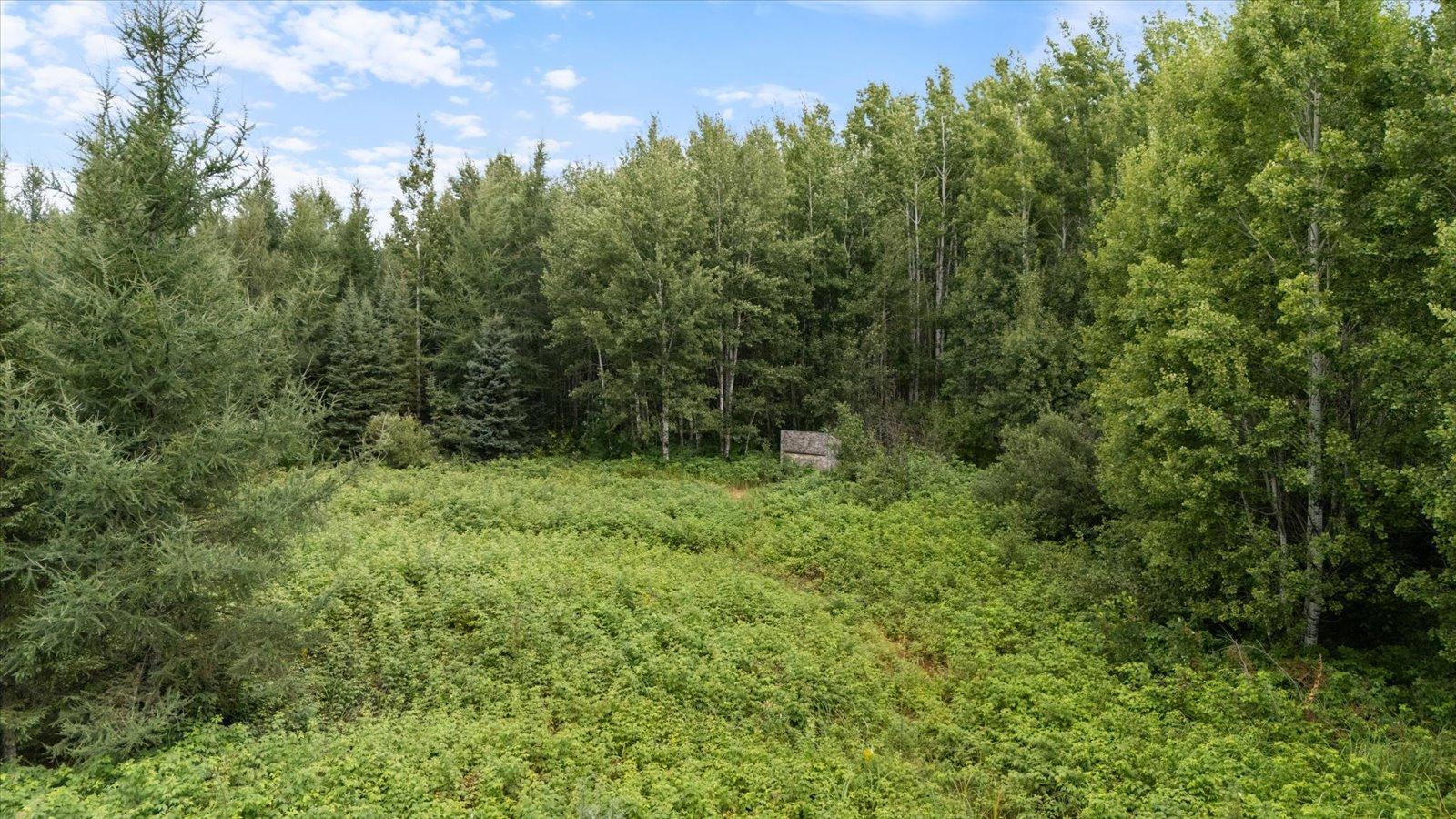 9401 Samuelson Road Angora, MN 55703 - Photo 16 of 38