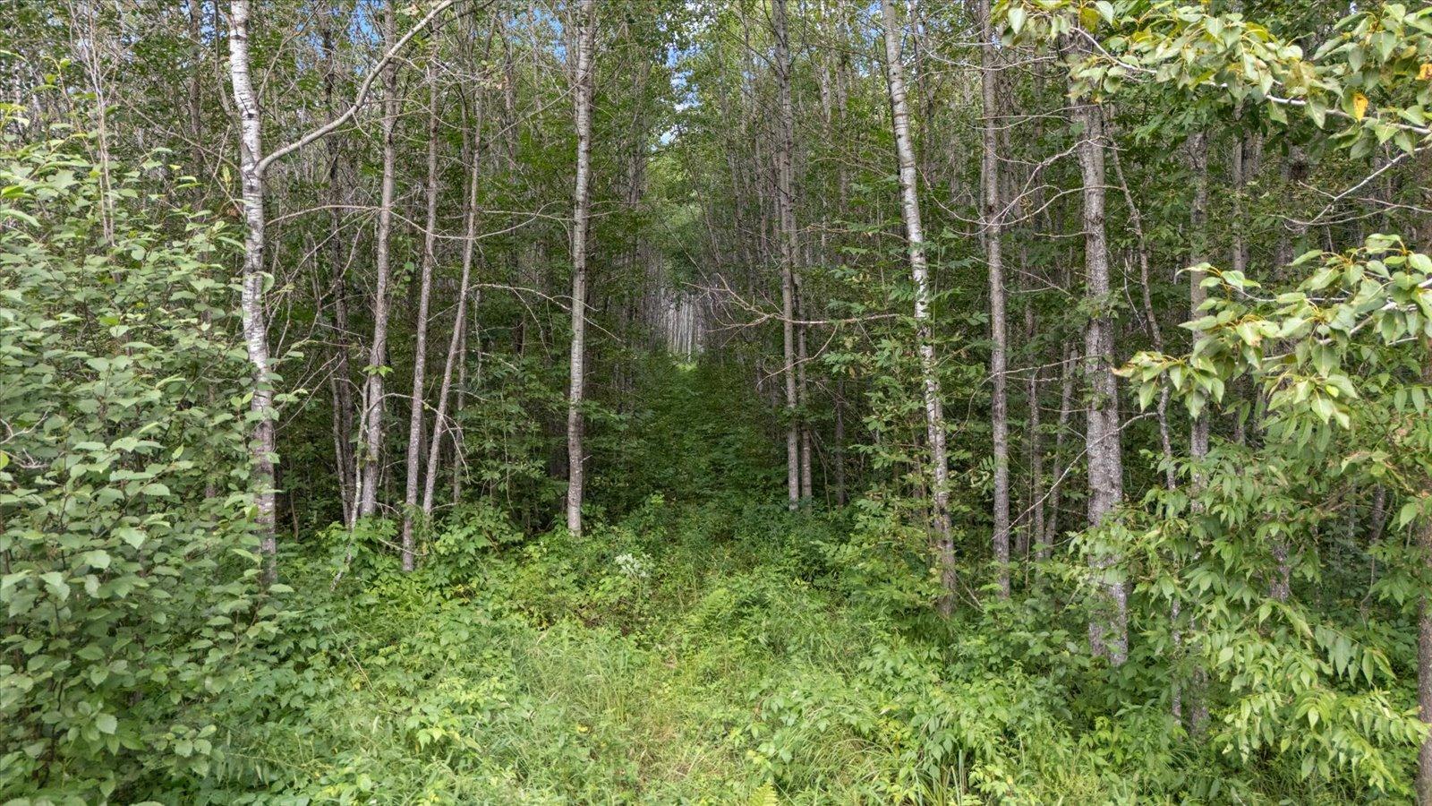 9401 Samuelson Road Angora, MN 55703 - Photo 23 of 38