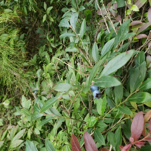 $129,900 | 9401 Samuelson Road, Angora, MN 55703