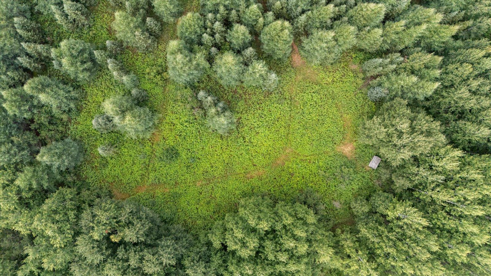 9401 Samuelson Road Angora, MN 55703 - Photo 5 of 38