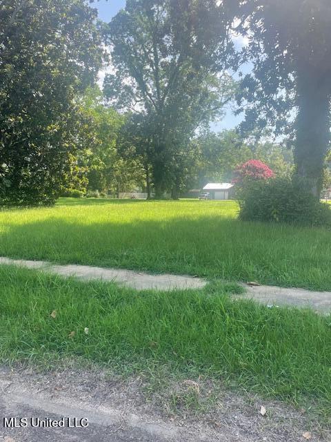 0 Sycamore Street Como, MS 38619 - Photo 2 of 5 Sycamore 5