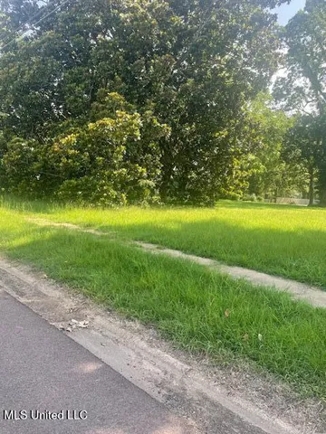 $150,000 | 0 Sycamore Street, Como, MS 38619