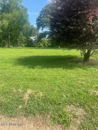 $150,000 | 0 Sycamore Street, Como, MS 38619