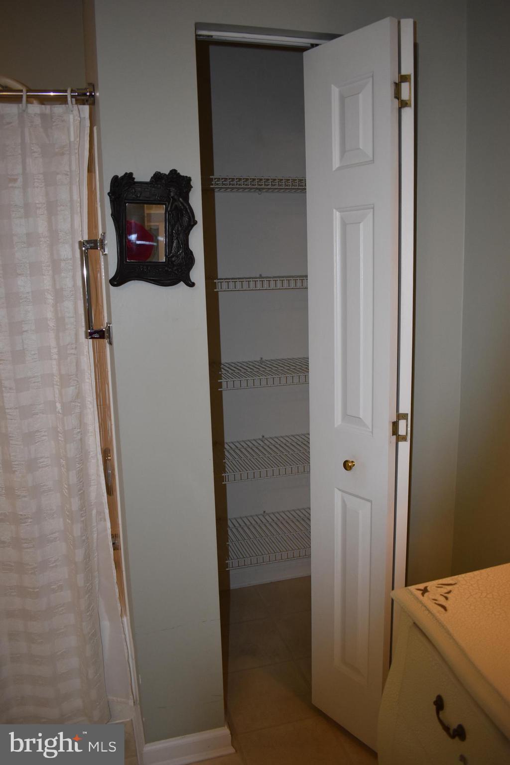 5236 Millfield Road, Unit 5236 Baltimore, MD 21237 - Photo 48 of 54 a view of walk in closet