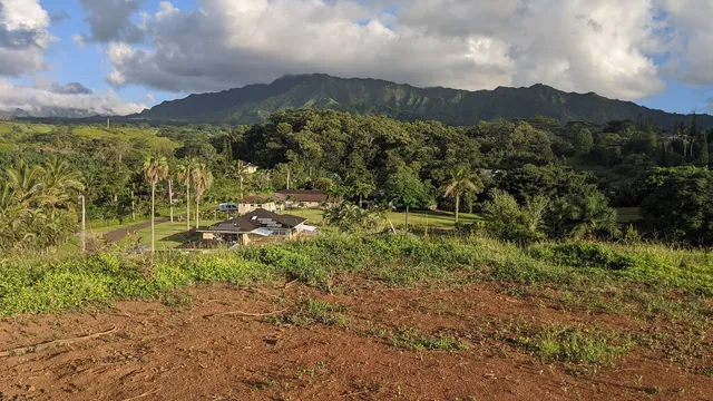 a view of a town with mountains in the background