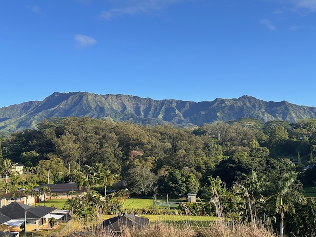 3 Kipapa Road Kapaa, HI 96746 - Photo 2 of 10 a view of a lush green field with mountains in the background