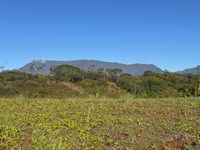 a view of a mountain range with lush green forest