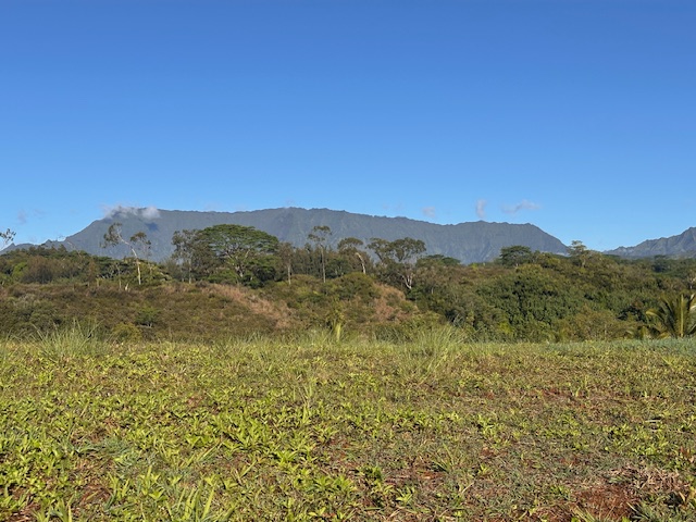 3 Kipapa Road Kapaa, HI 96746 - Photo 3 of 10 a view of a mountain range with lush green forest