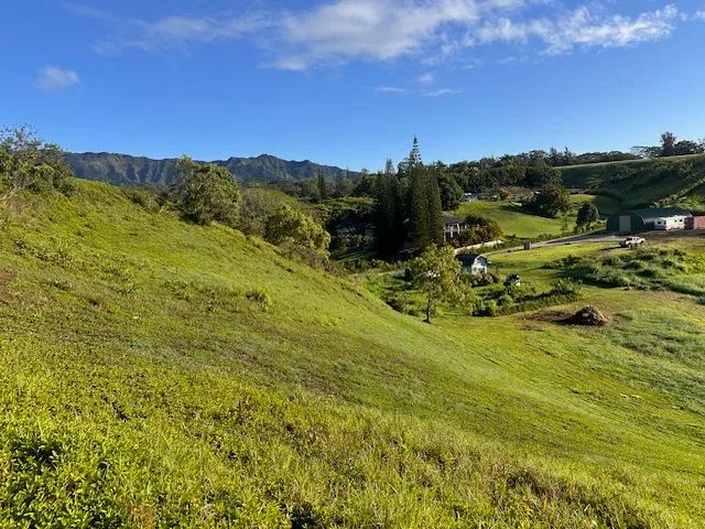 a view of an outdoor space with a lake view
