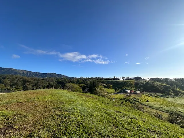 a view of an outdoor space and a yard