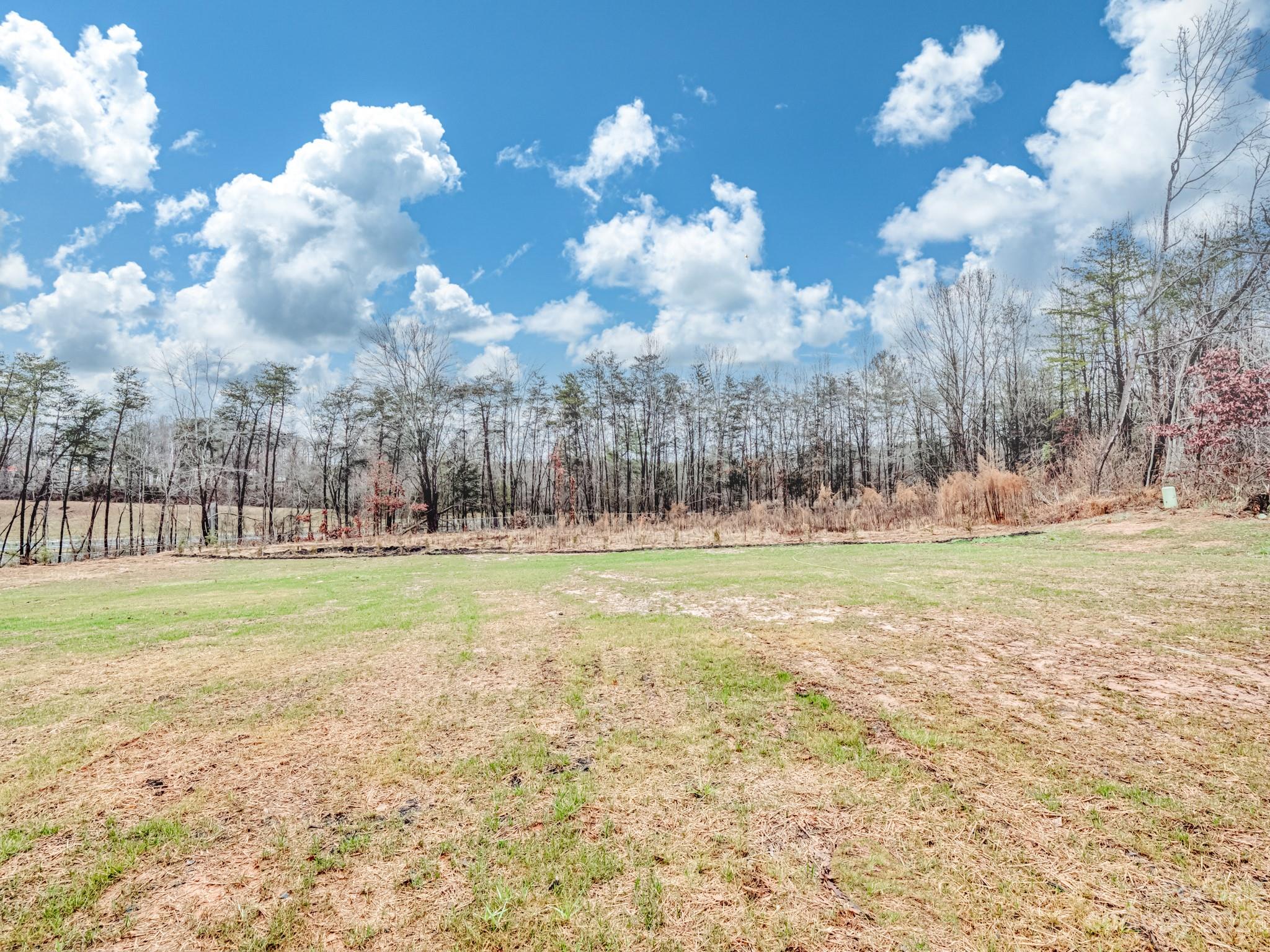 213 9th Street Northeast Conover, NC 28613 - Photo 35 of 38 a view of a big yard