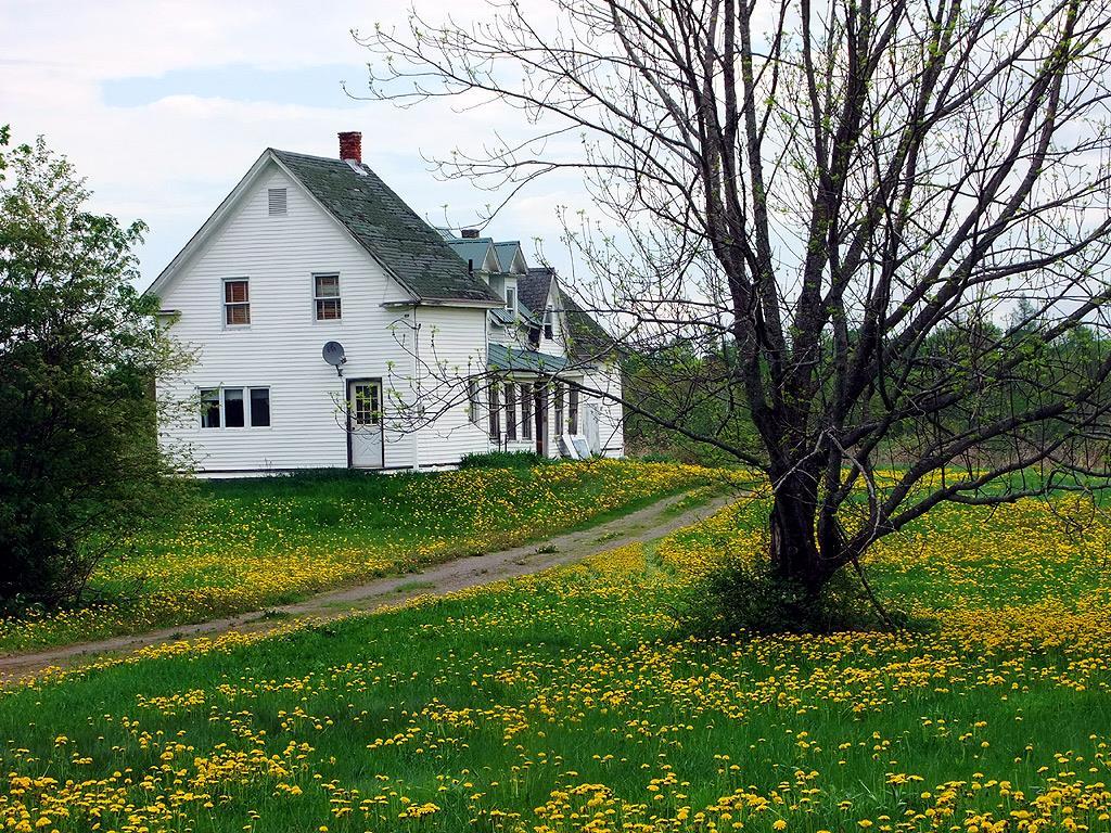 233 Moose Brook Road Houlton, ME 04730 - Photo 4 of 29 Photo