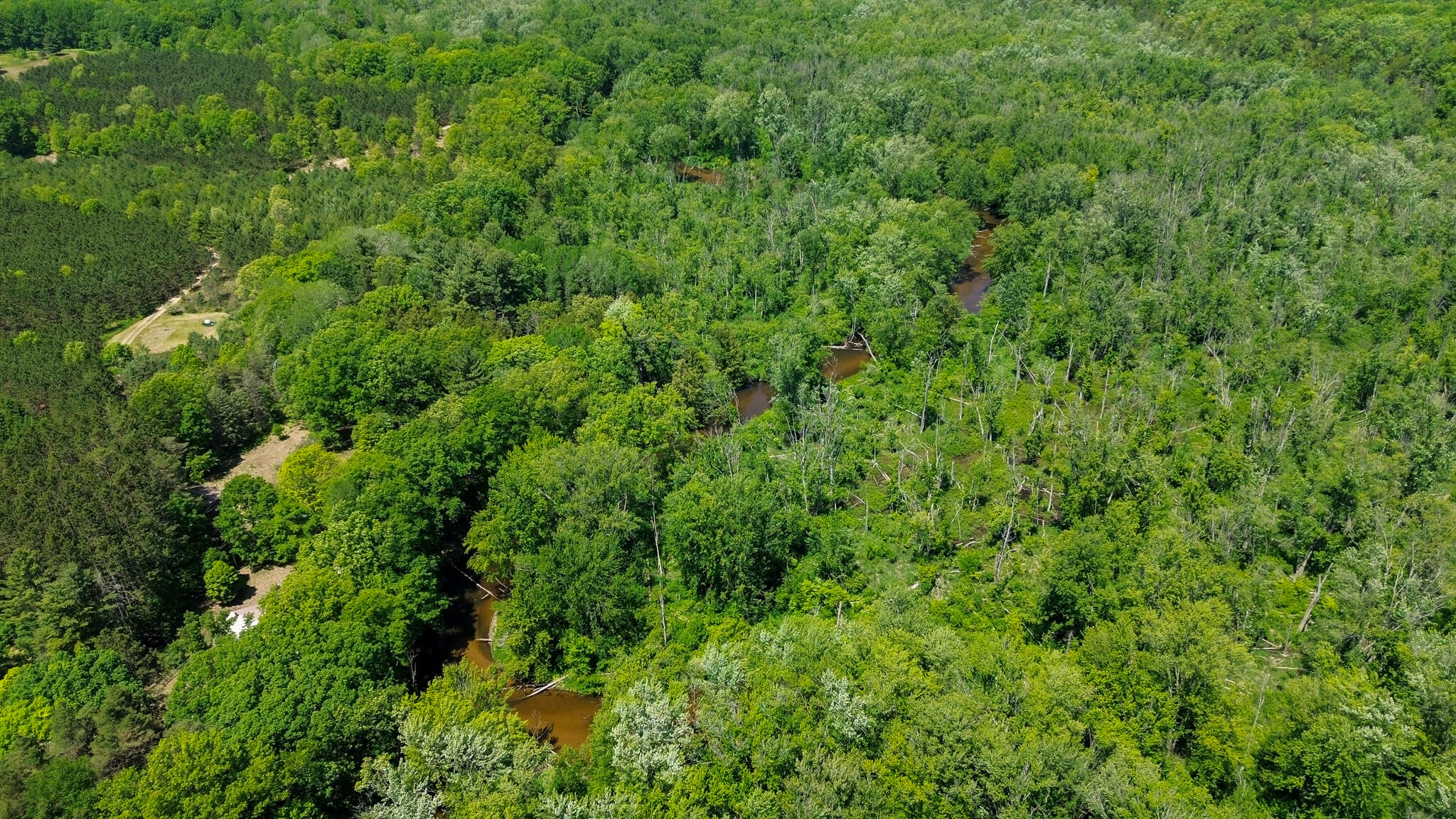 3804 East Wilson Road Custer, MI 49405 - Photo 7 of 39 High Woods