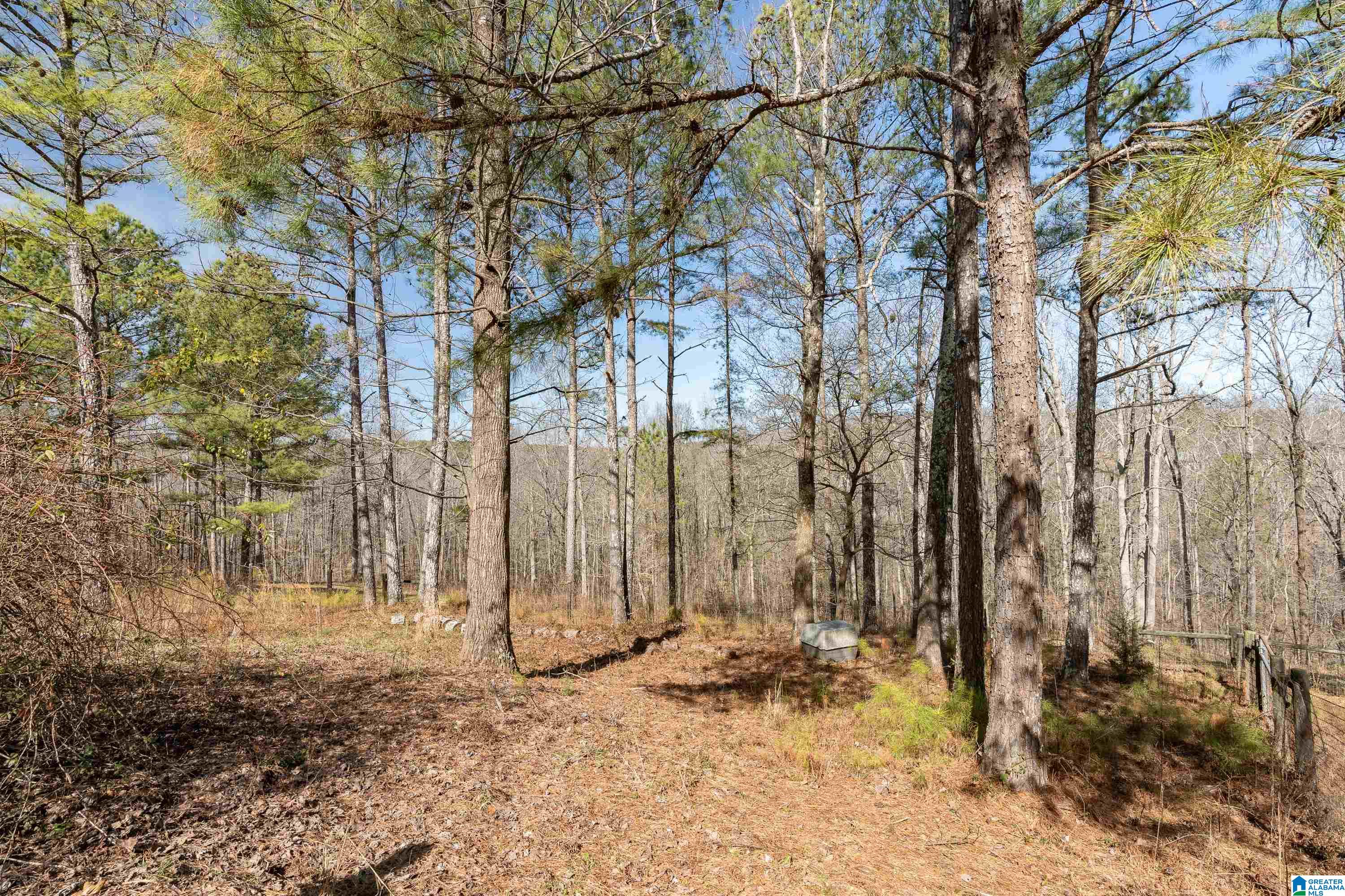 1276 County Highway 7 Hayden, AL 35079 - Photo 57 of 68