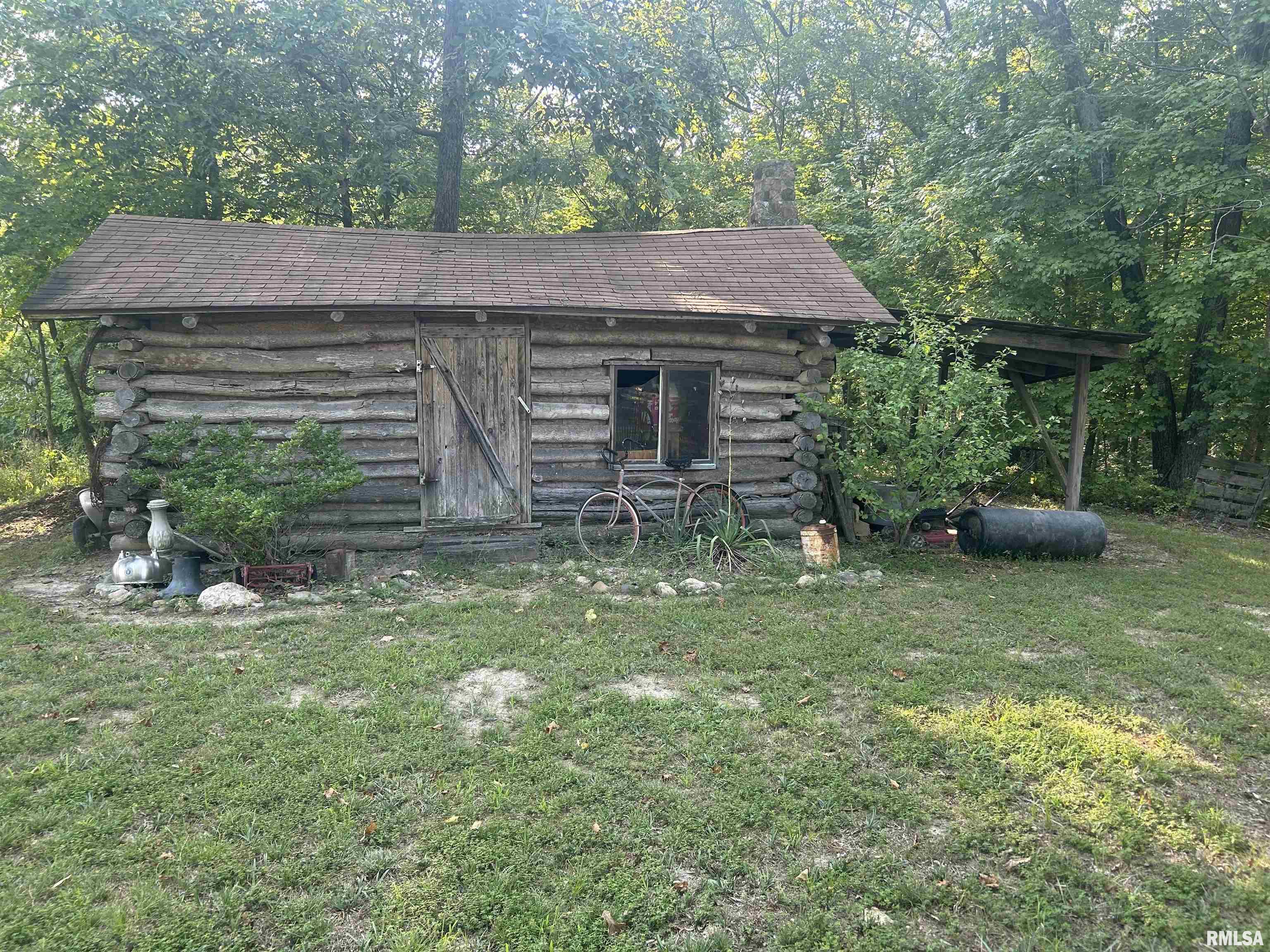 607 Meador Road Iuka, IL 62849 - Photo 3 of 43