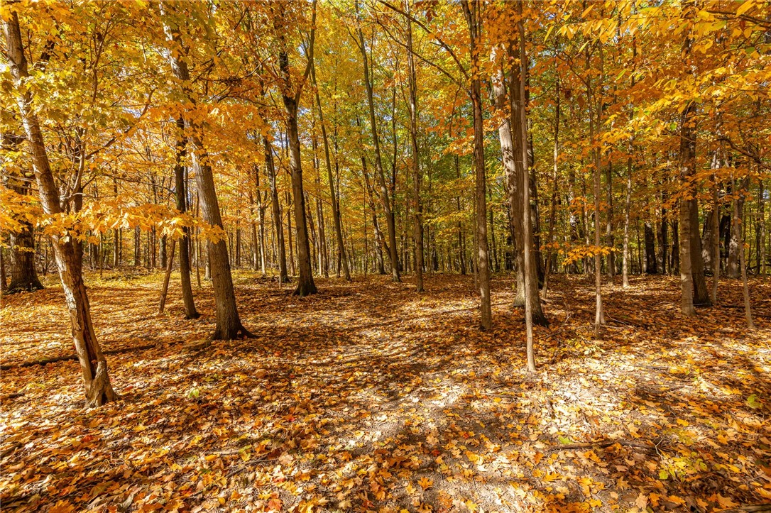 6126 Rossier Road Canandaigua Town, NY 14424 - Photo 44 of 50