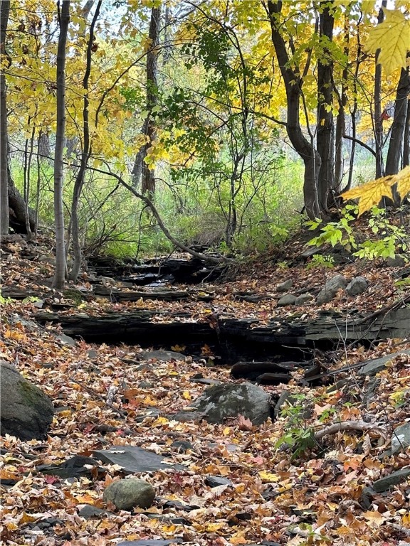 6126 Rossier Road Canandaigua Town, NY 14424 - Photo 47 of 50