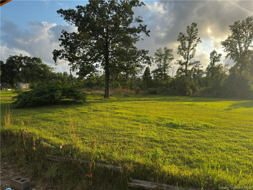 100 Hereford Drive Ragley, LA 70657 - Photo 4 of 9