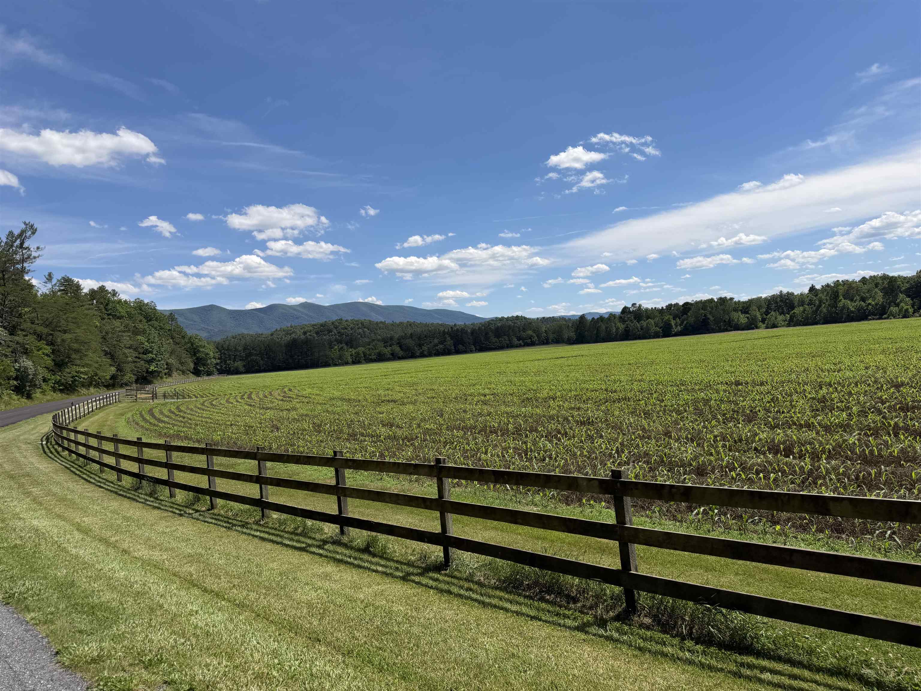 562 West Augusta Road West Augusta, VA 24485 - Photo 44 of 50