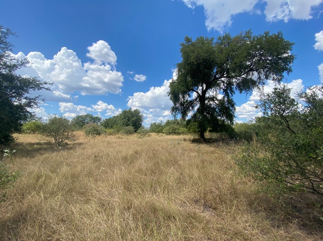 626 Strada Luca Florence, TX 76527 - Photo 3 of 7 a view of a flower in a yard