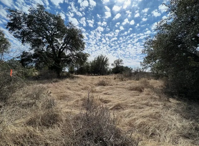 a view of a dry yard with trees