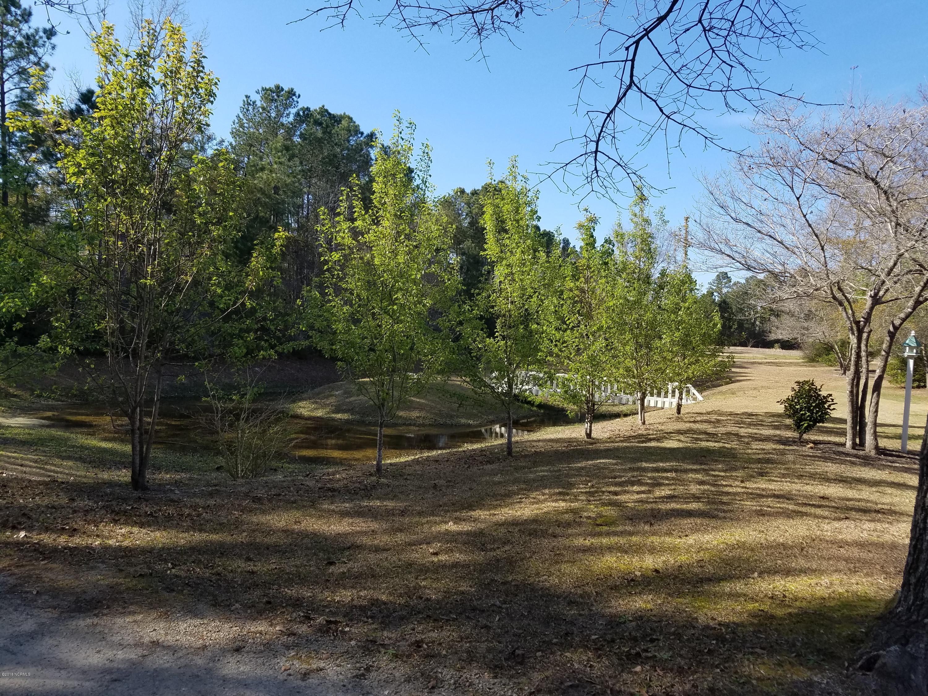 153 Point Road Newport, NC 28570 - Photo 18 of 30 Pond