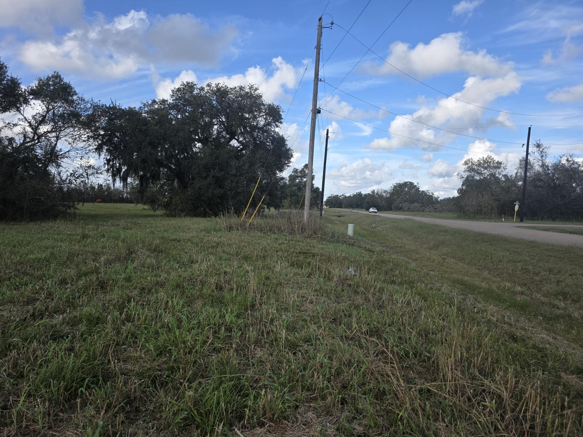 340 Pony Trail Angleton, TX 77515 - Photo 2 of 7 a view of a field with a tree in the background