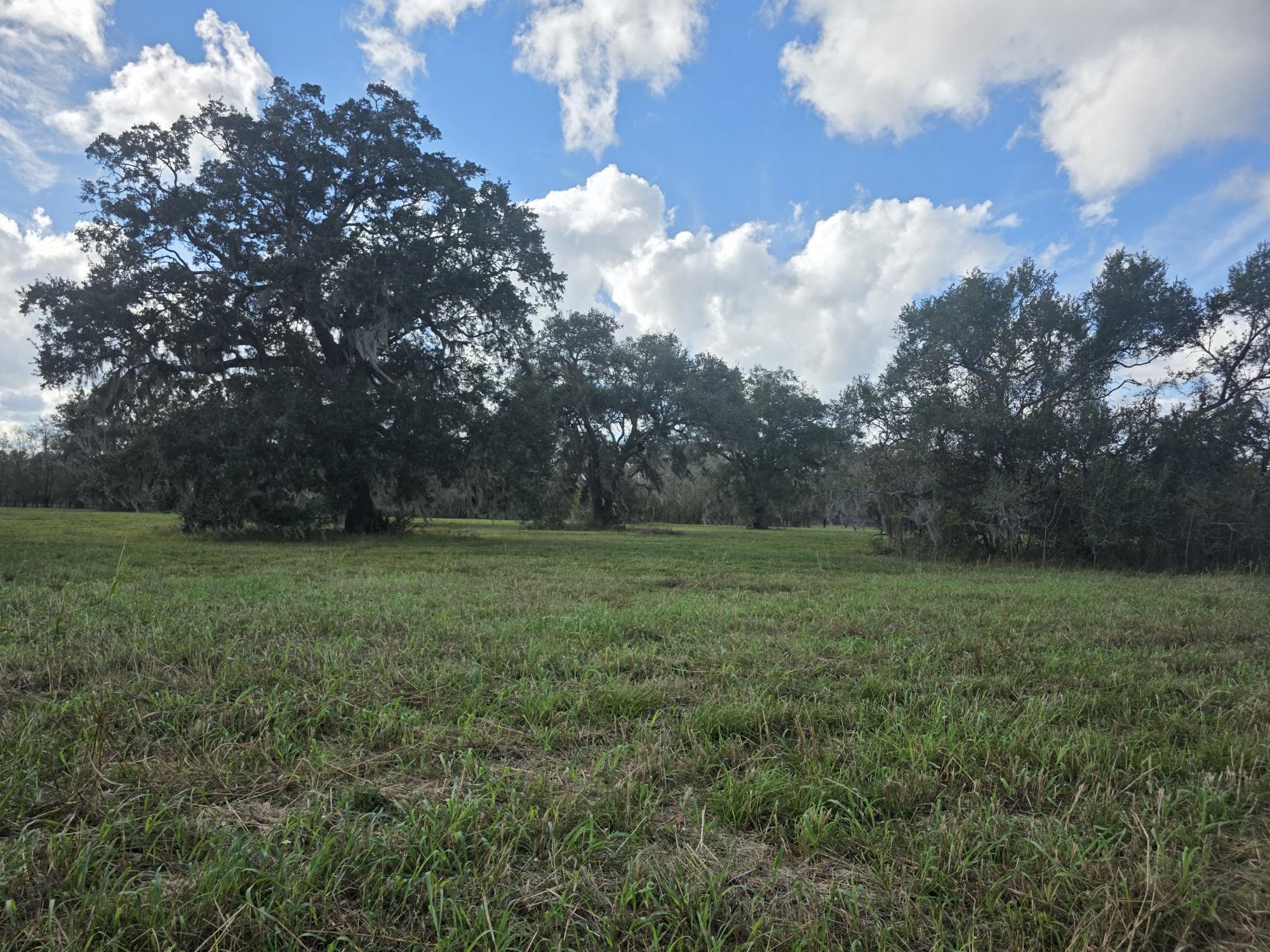 340 Pony Trail Angleton, TX 77515 - Photo 4 of 7 a view of outdoor space with deck and yard