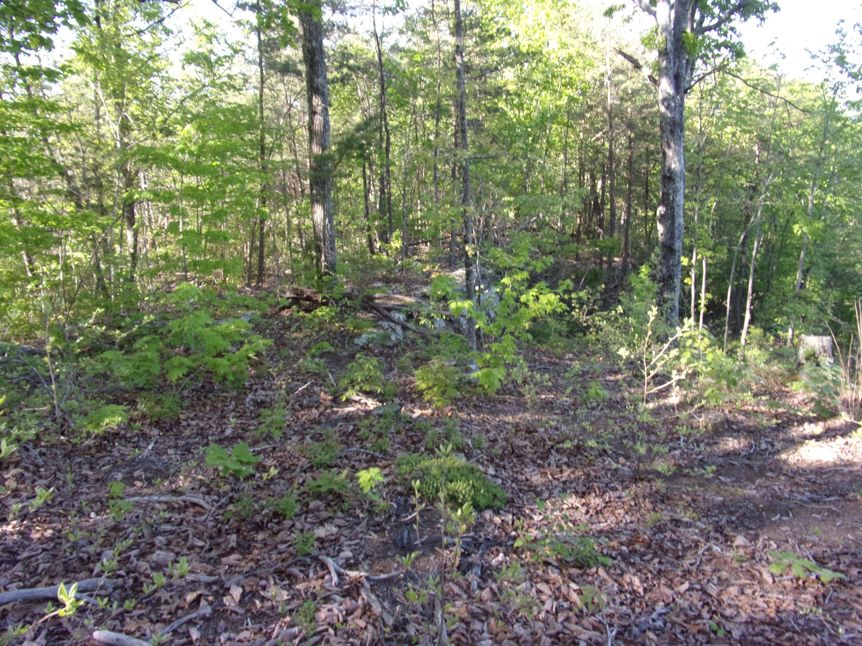 1 Raven Rock Road, Unit 1 Pikeville, TN 37367 - Photo 14 of 19 101_2861