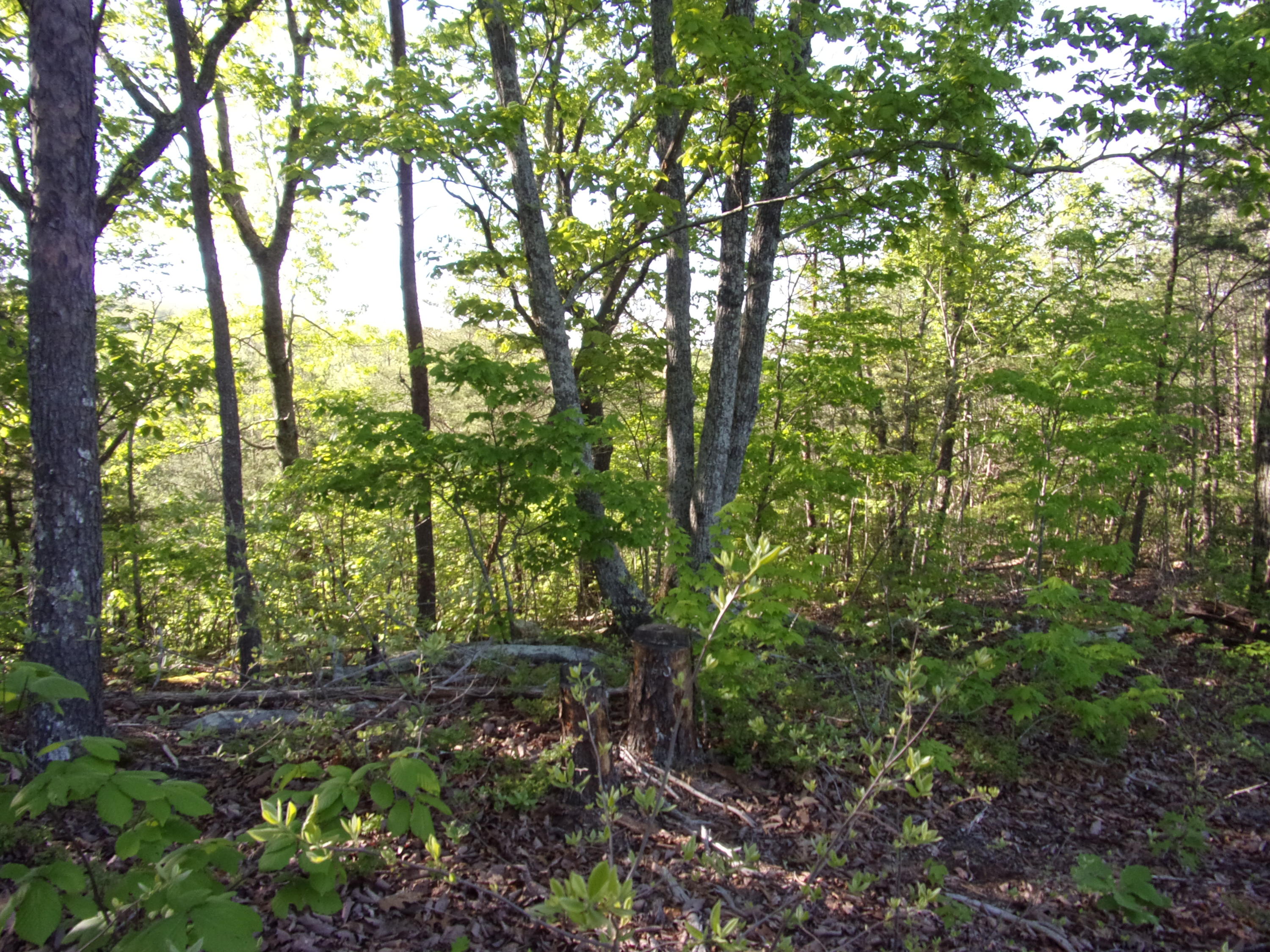 1 Raven Rock Road, Unit 1 Pikeville, TN 37367 - Photo 15 of 19 101_2862