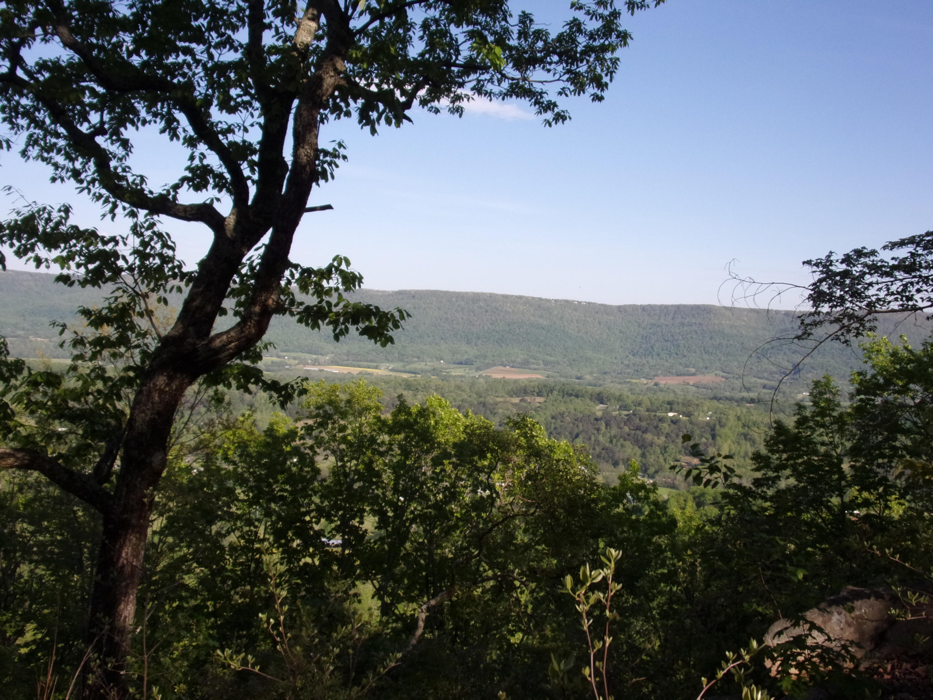 1 Raven Rock Road, Unit 1 Pikeville, TN 37367 - Photo 16 of 19 101_2863