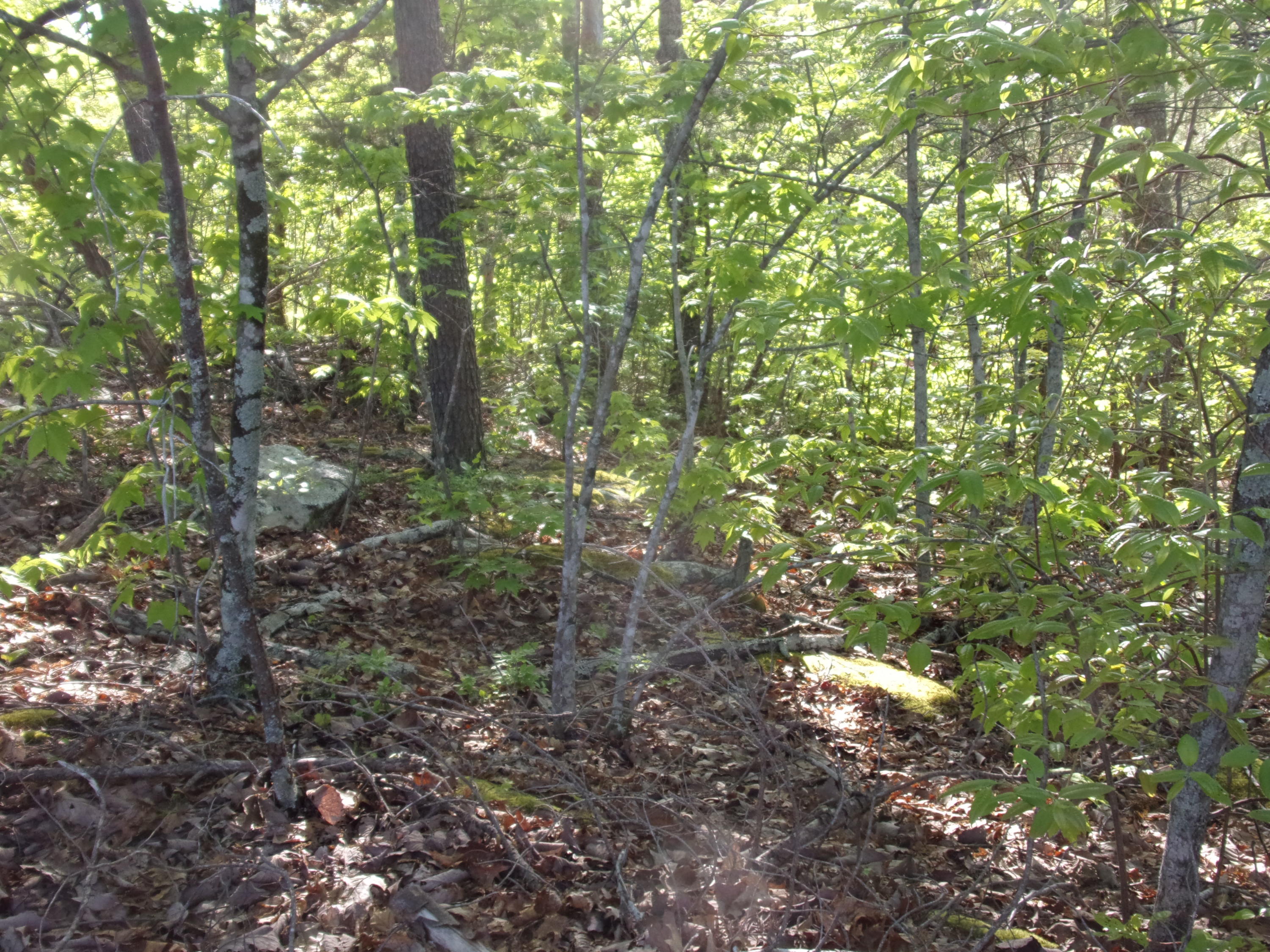 1 Raven Rock Road, Unit 1 Pikeville, TN 37367 - Photo 18 of 19 101_2865