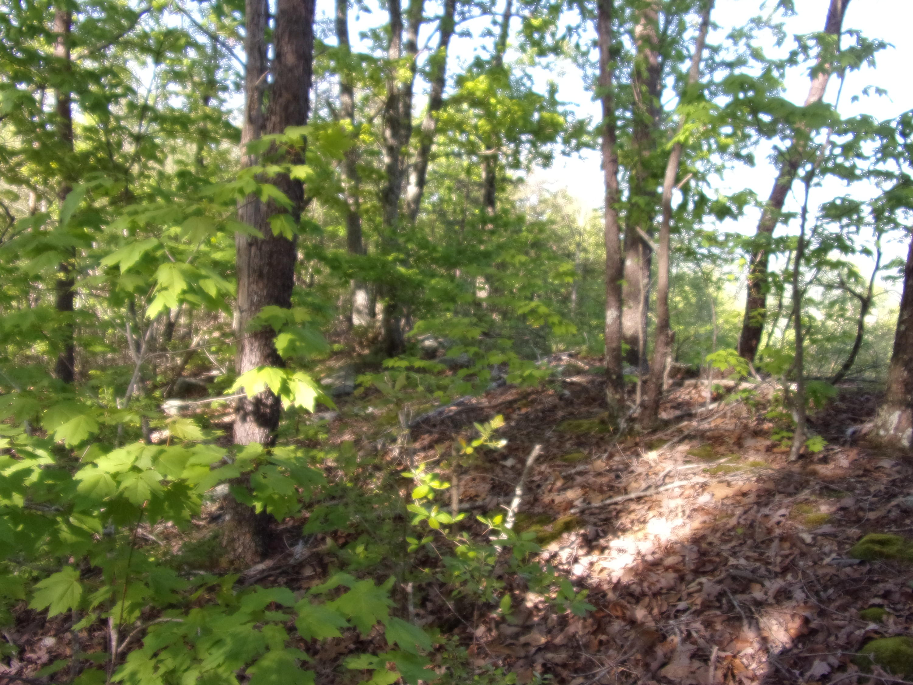 1 Raven Rock Road, Unit 1 Pikeville, TN 37367 - Photo 5 of 19 101_2850