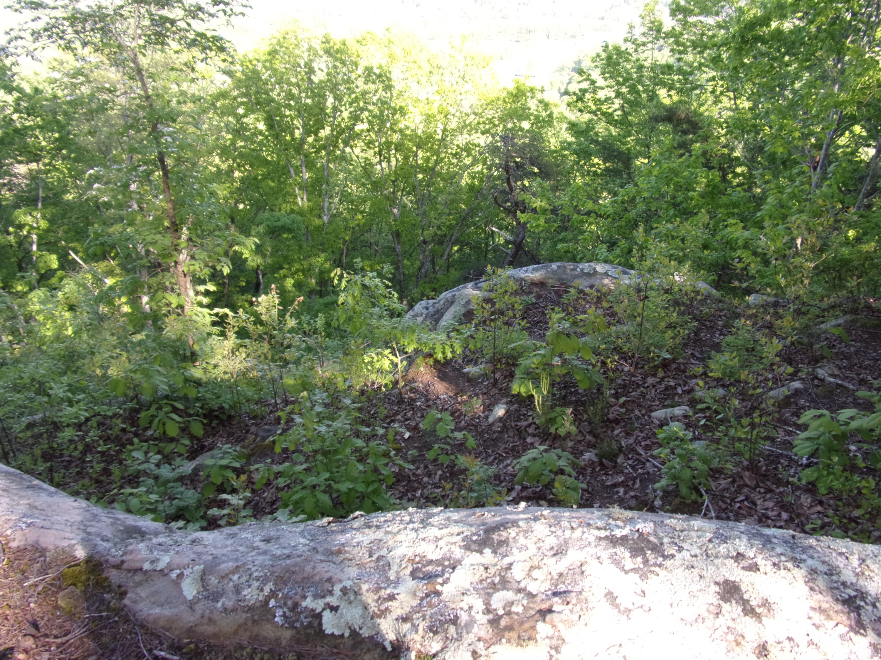 1 Raven Rock Road, Unit 1 Pikeville, TN 37367 - Photo 9 of 19 101_2855