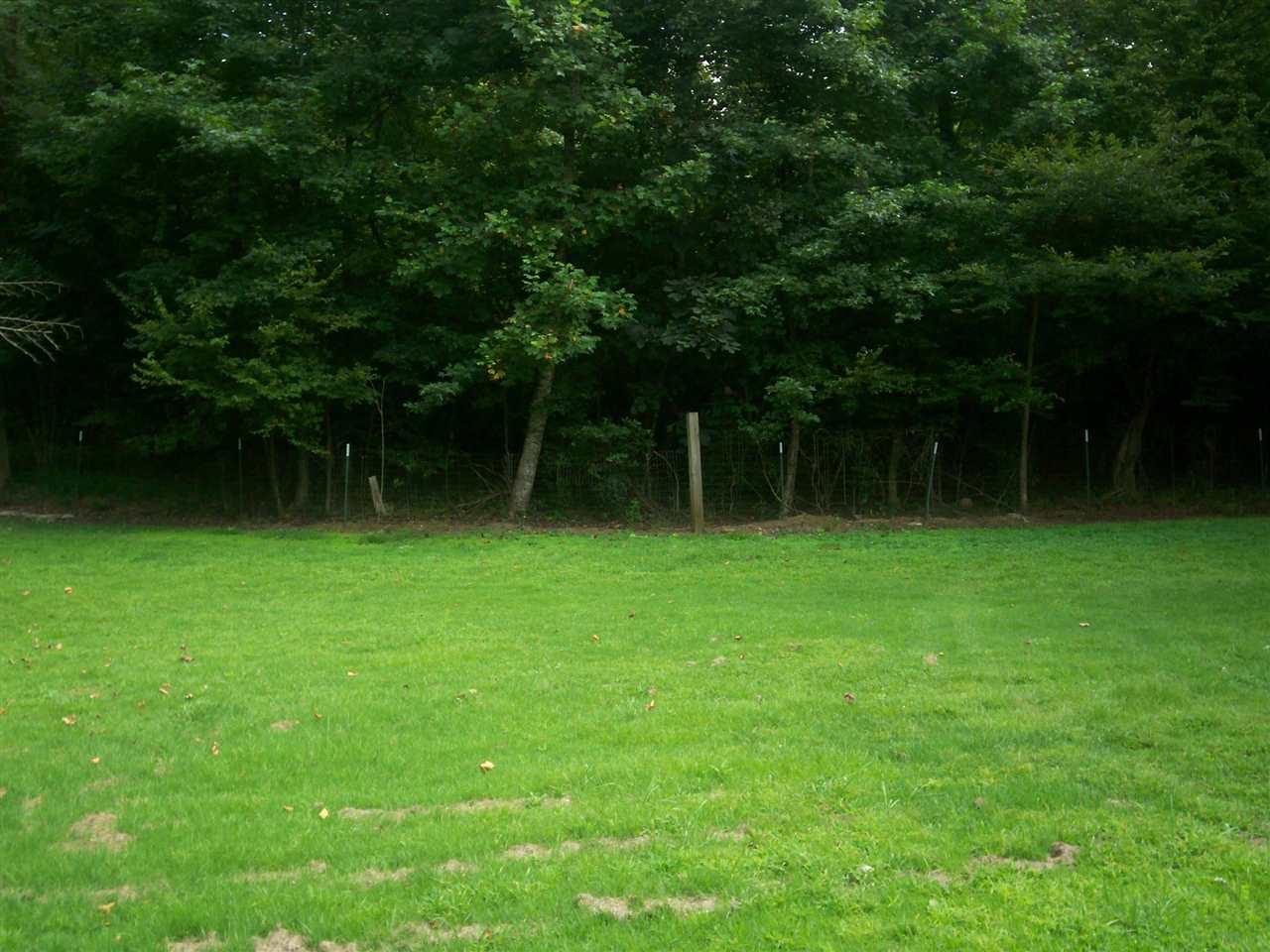 90 McMahan Road Middleton, TN 38052 - Photo 17 of 18 Gallery Image 17