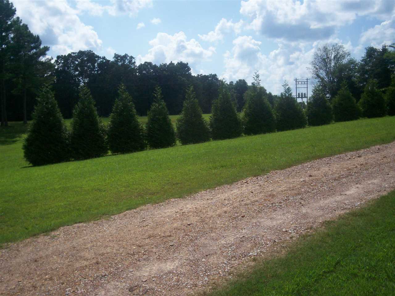 90 McMahan Road Middleton, TN 38052 - Photo 4 of 18 Gallery Image 4