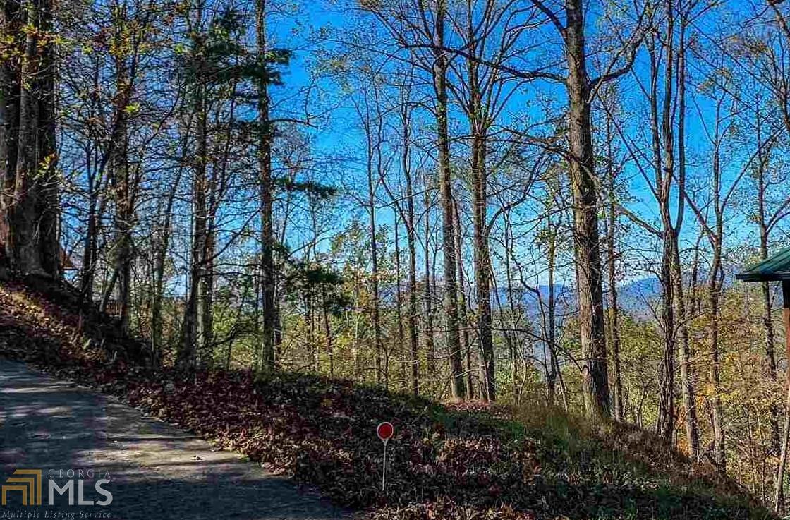 M221 Walnut Mountain Road Ellijay, GA 30536 - Photo 1 of 1