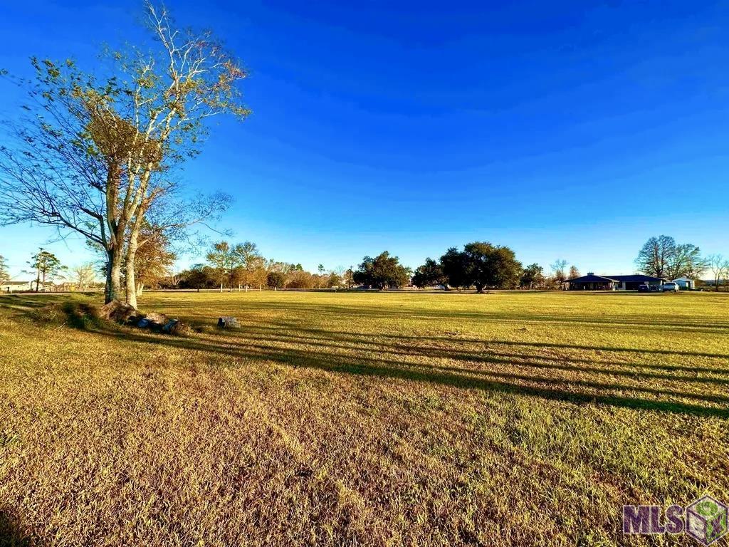 792 La Highway Raceland, LA 70394 - Photo 3 of 8 Gallery Image 3