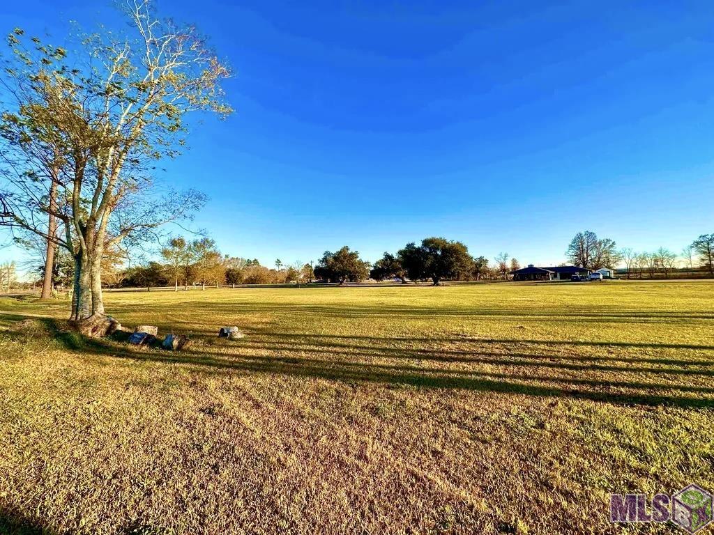 792 La Highway Raceland, LA 70394 - Photo 4 of 8 Gallery Image 4