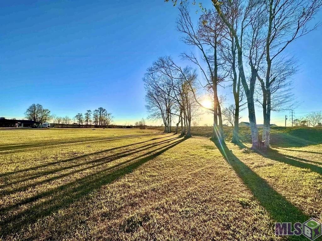 792 La Highway Raceland, LA 70394 - Photo 5 of 8 Gallery Image 5