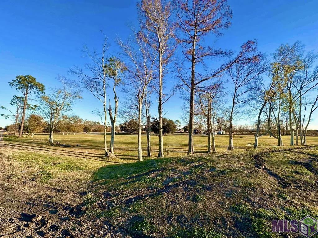 792 La Highway Raceland, LA 70394 - Photo 6 of 8 Gallery Image 6