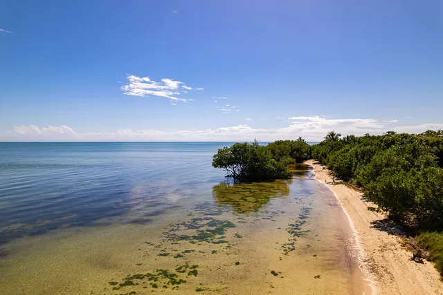 a view of a lake with beach