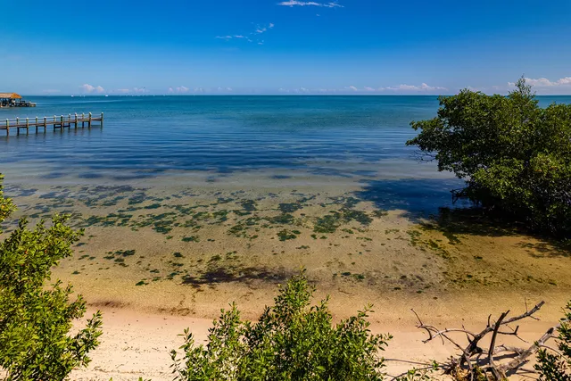 a view of ocean view with beach