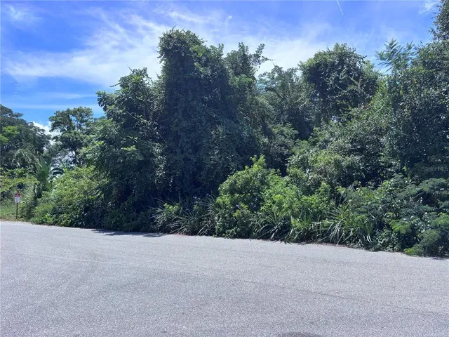 a view of a field and trees in the background