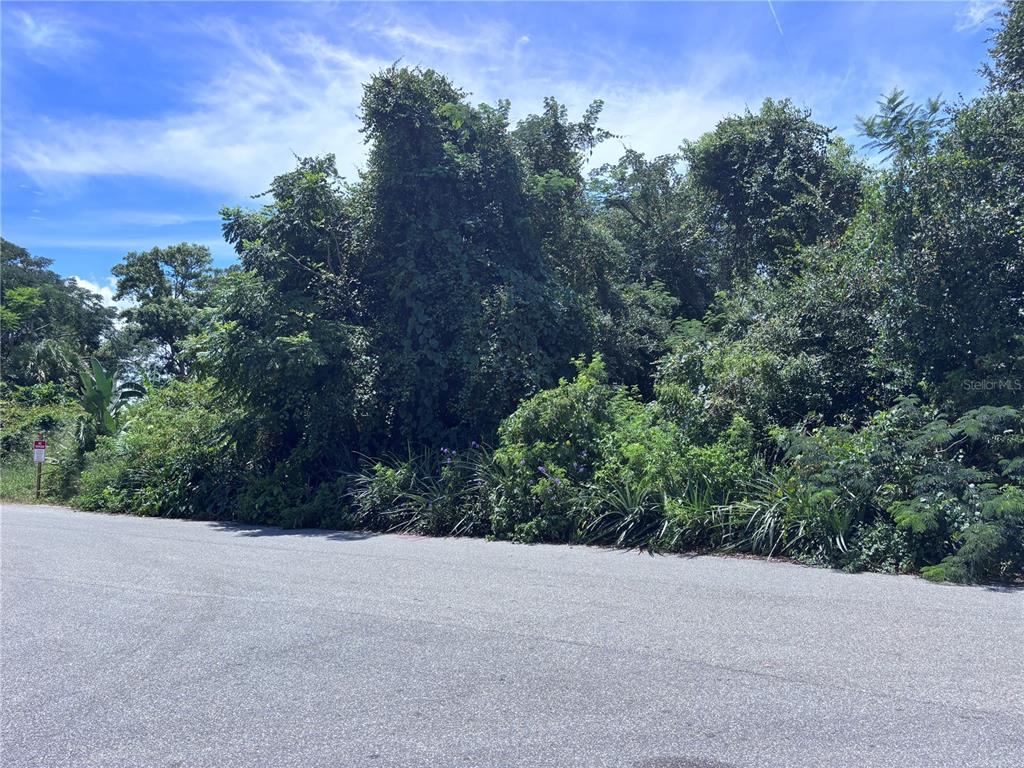 a view of a field and trees in the background