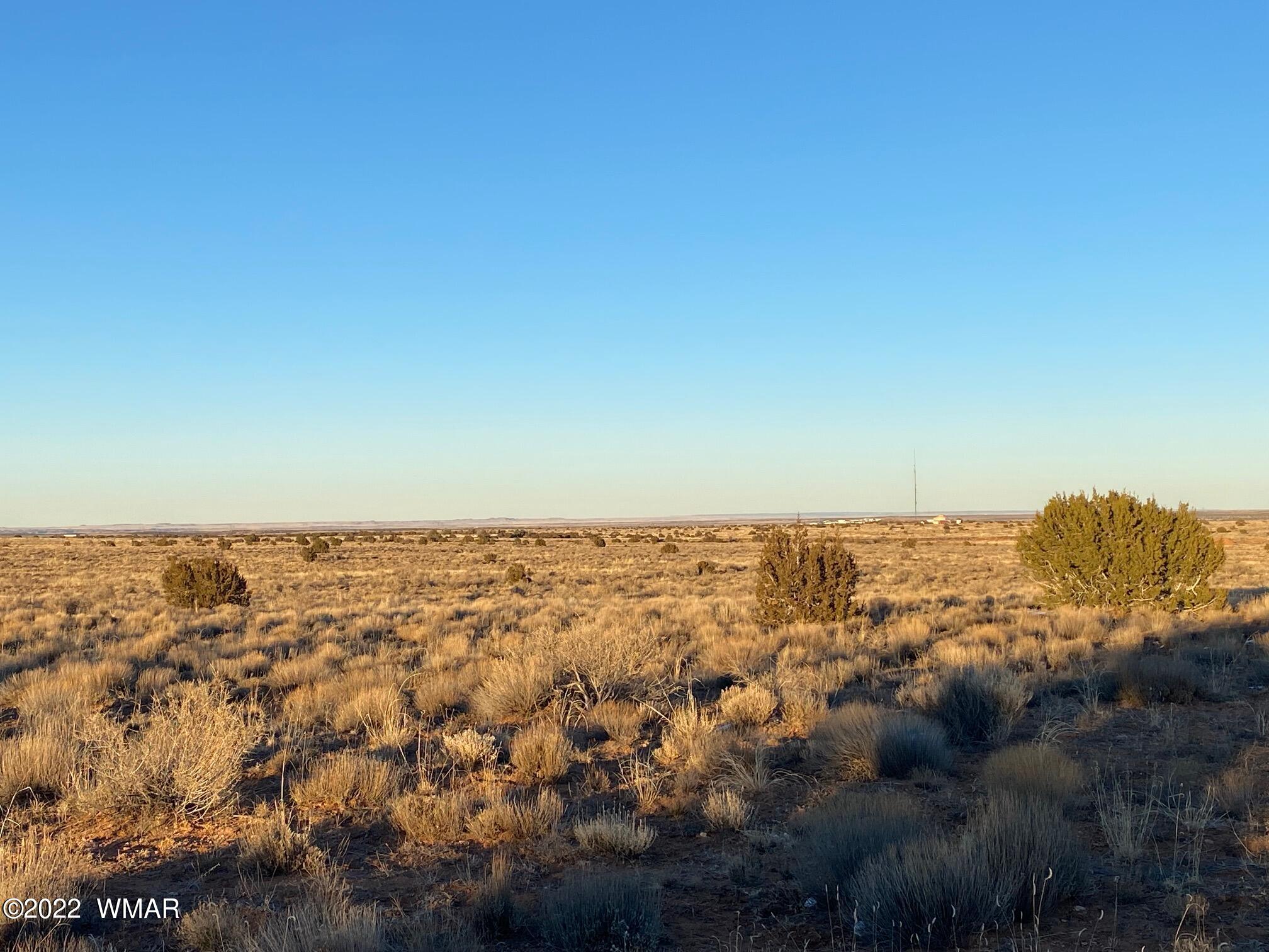 Lot 52 Snowflake Ranch Snowflake, AZ 85937 - Photo 2 of 9