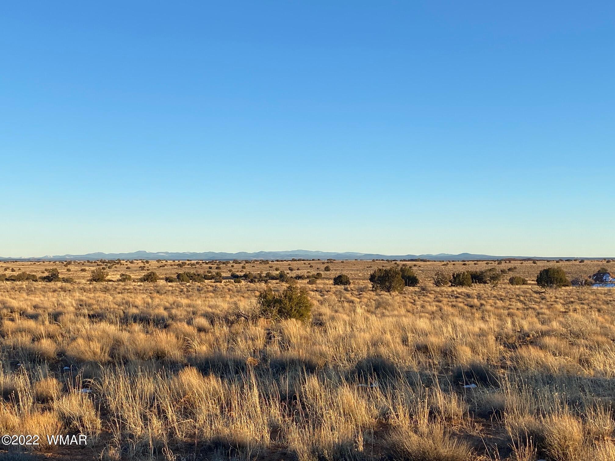 Lot 52 Snowflake Ranch Snowflake, AZ 85937 - Photo 3 of 9